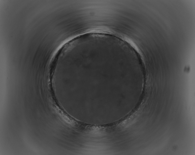 X0000091730923200708241409