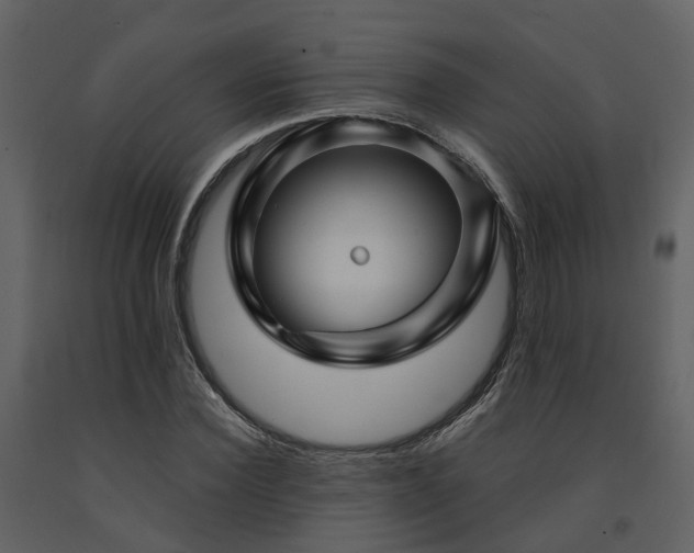 X0000091730924200708241409
