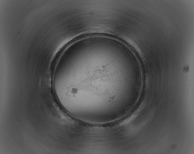 X0000091730925200708241409