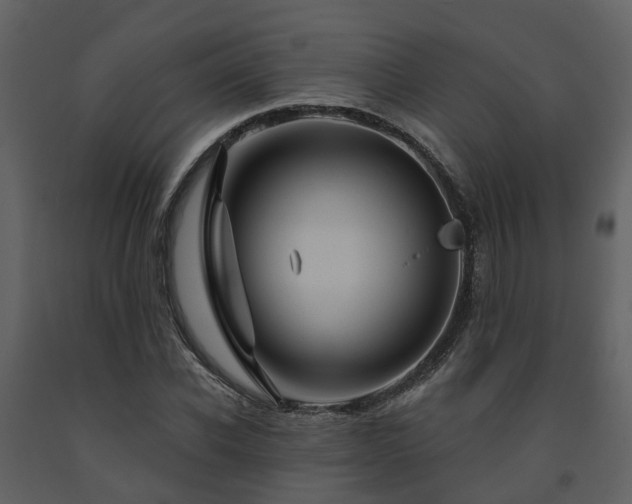 X0000091730926200708241409