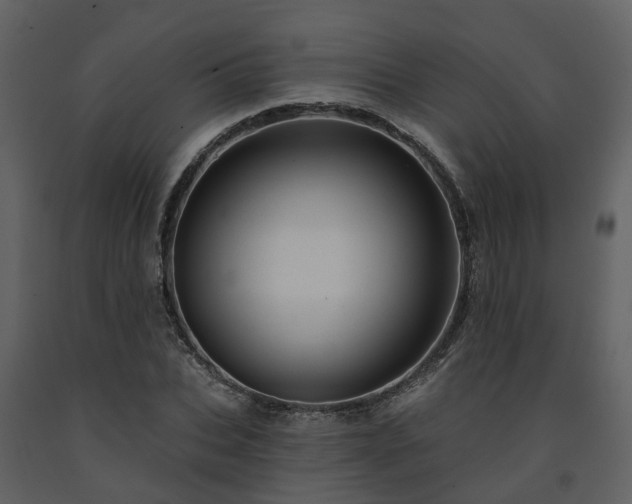 X0000091730927200708241409
