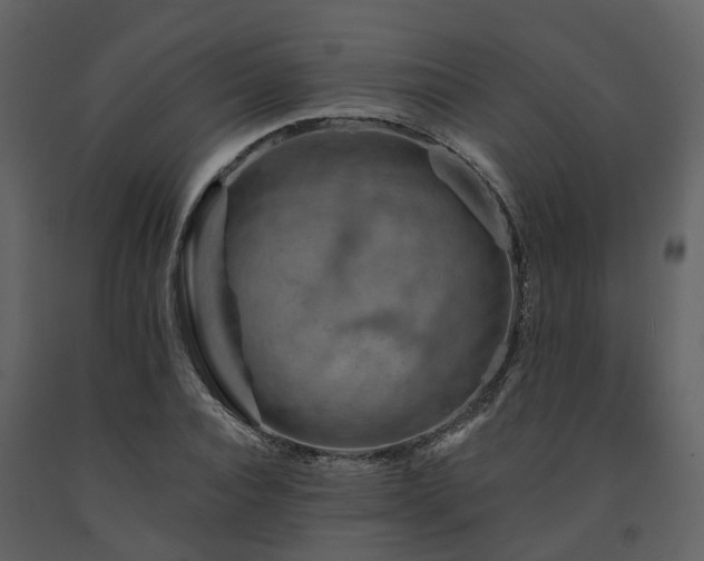 X0000091730928200708241409