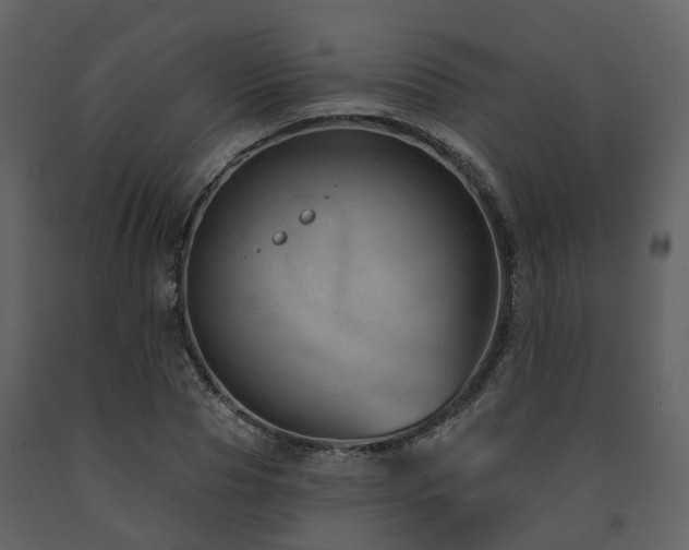 X0000091730929200708241409