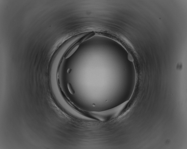 X0000091730930200708241409