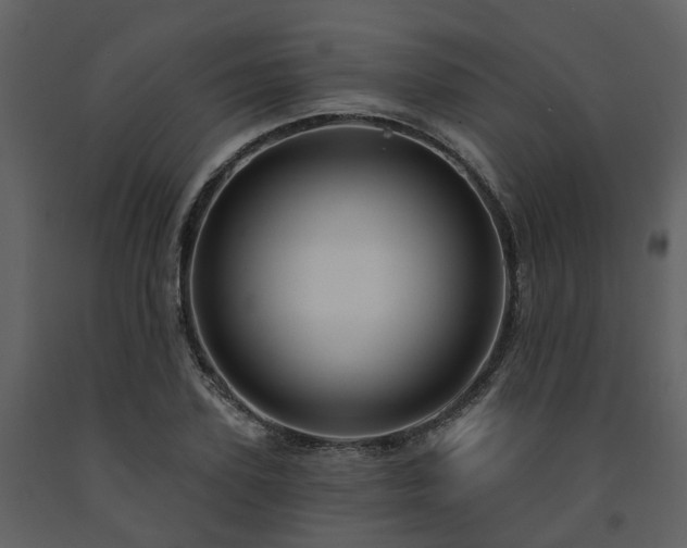 X0000091730931200708241409