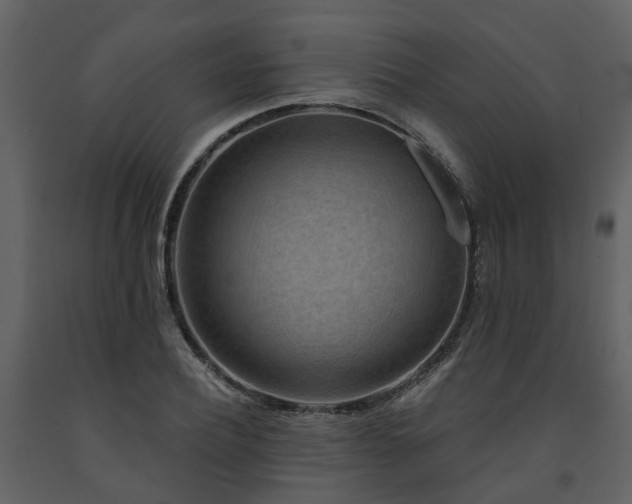 X0000091730932200708241409