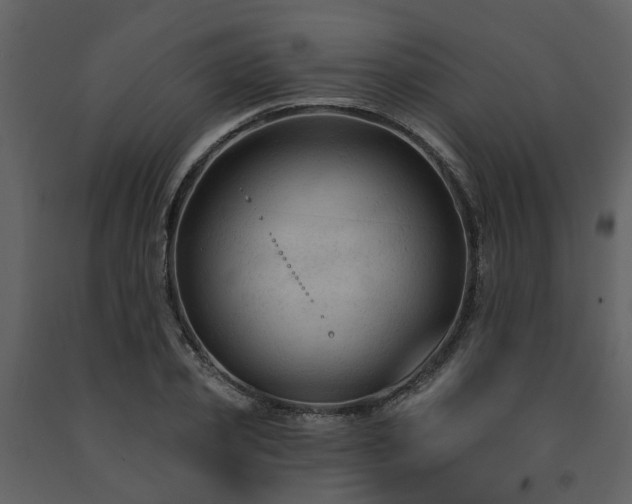 X0000091730933200708241409