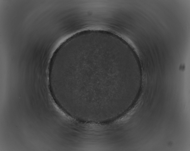 X0000091730935200708241409