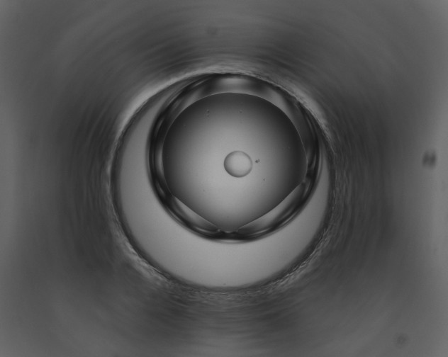 X0000091730936200708241409