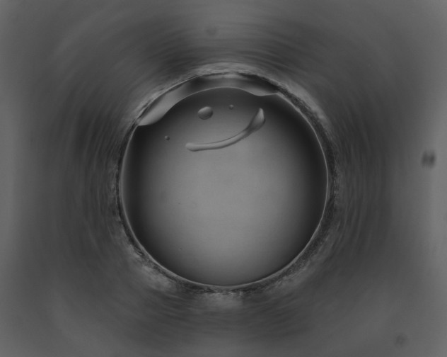 X0000091730937200708241409