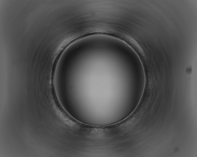 X0000091730938200708241409