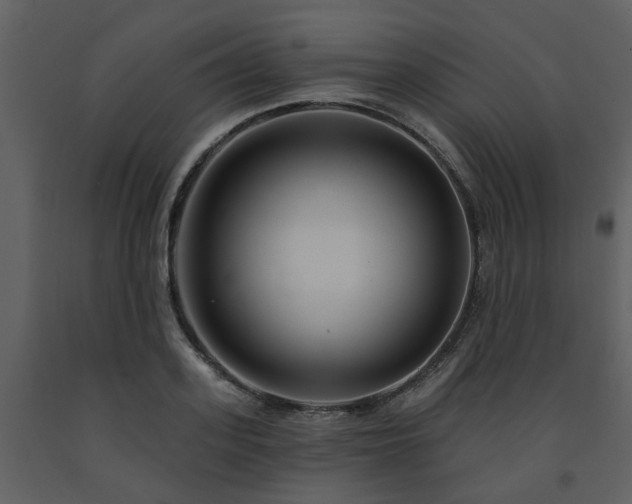 X0000091730939200708241409