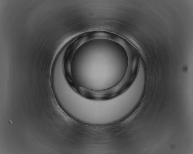 X0000091730940200708241409