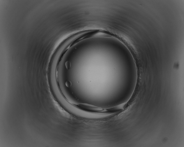X0000091730942200708241409