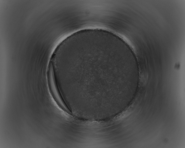 X0000091730943200708241409