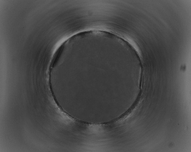 X0000091730944200708241409