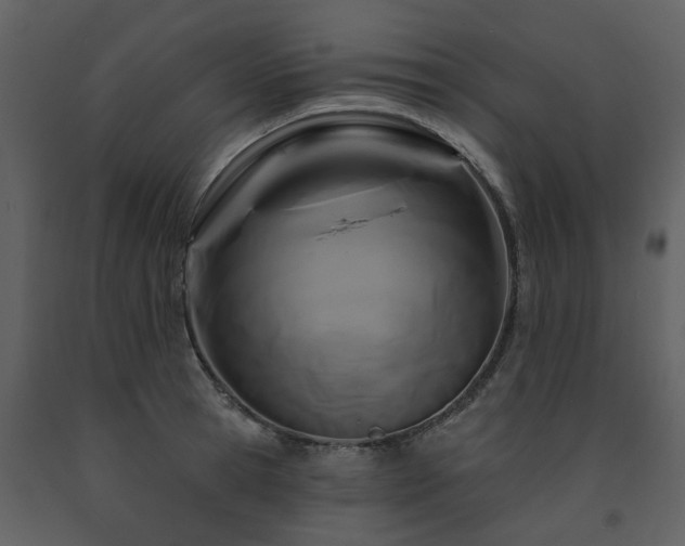 X0000091730945200708241409