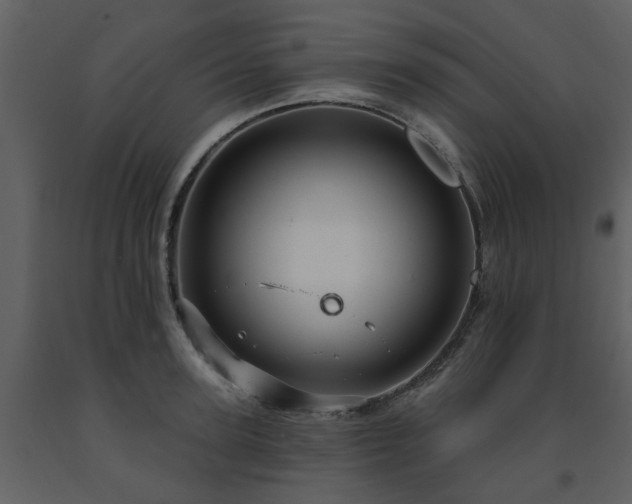 X0000091730947200708241409