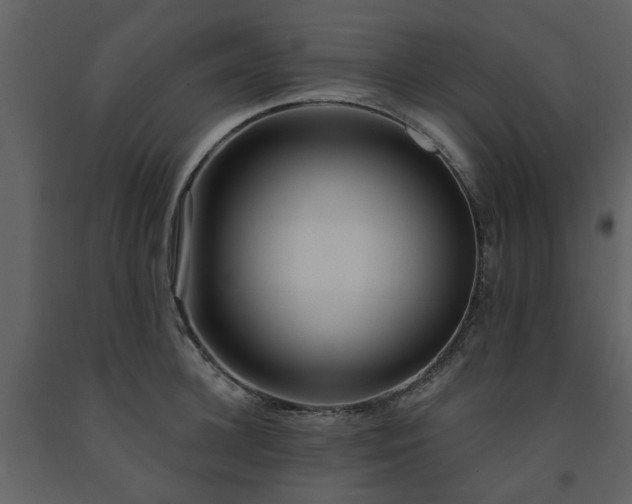 X0000091730948200708241409