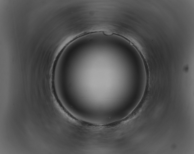 X0000091730949200708241409
