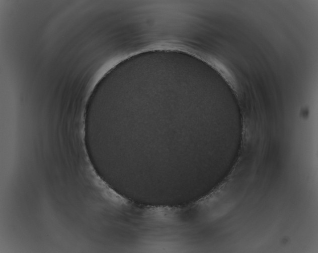 X0000091730950200708241409