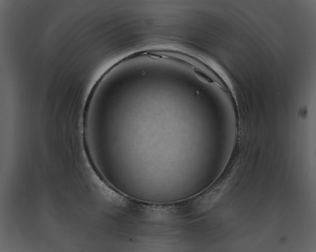 X0000091730951200708241409
