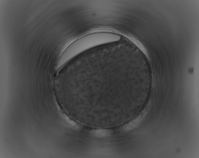 X0000091730953200708241409