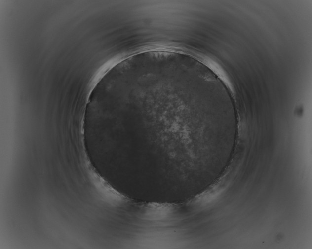 X0000091730954200708241409