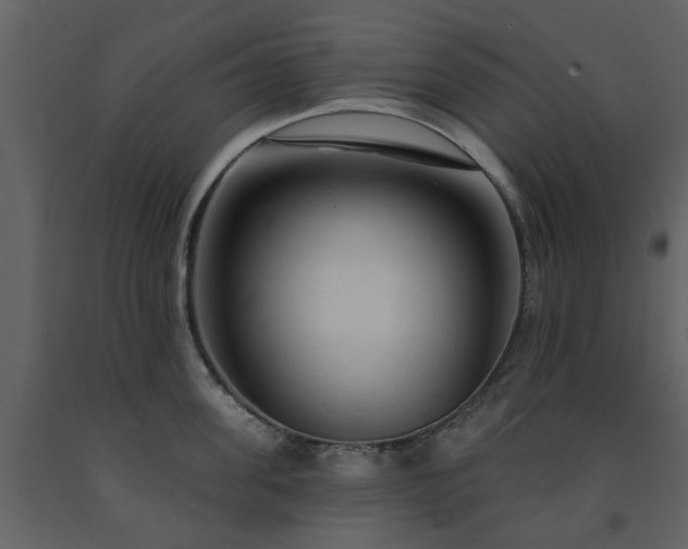 X0000091730955200708241409