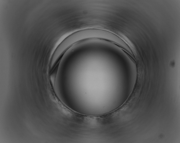 X0000091730956200708241409