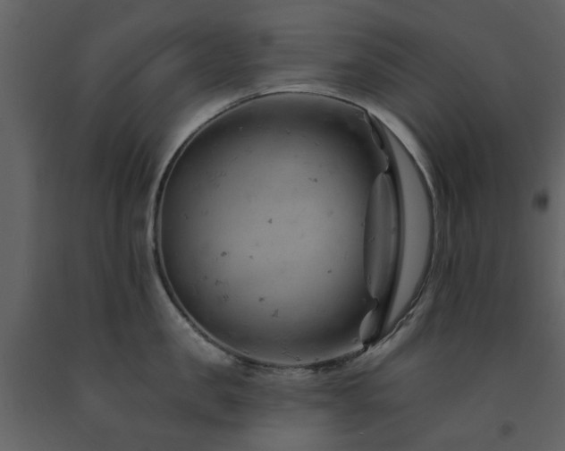 X0000091730957200708241409
