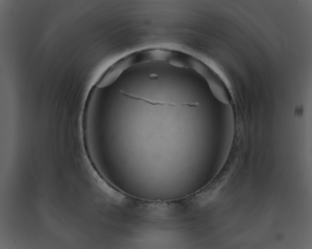 X0000091730959200708241409