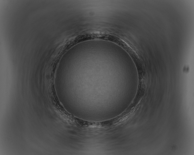 X0000091730961200708241409