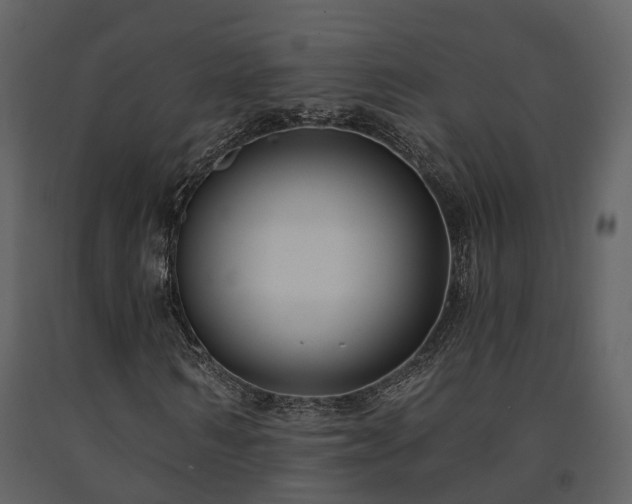 X0000091730962200708241409