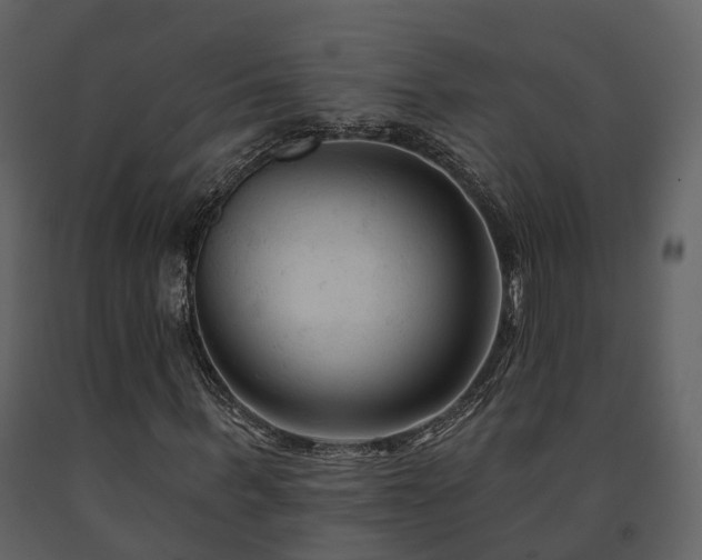 X0000091730963200708241409