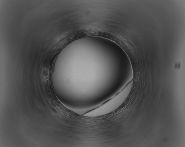 X0000091730964200708241409