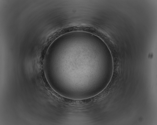 X0000091730966200708241409