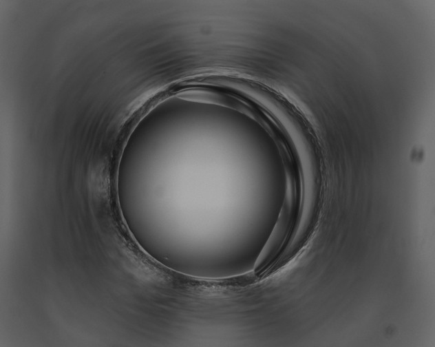 X0000091730969200708241409