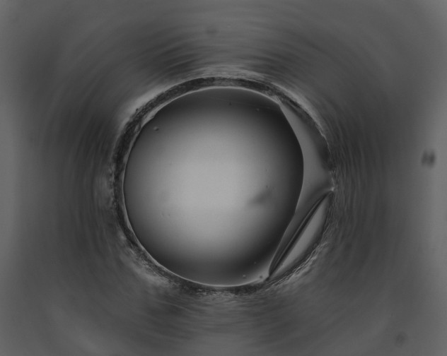X0000091730971200708241409