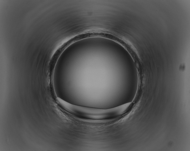 X0000091730973200708241409