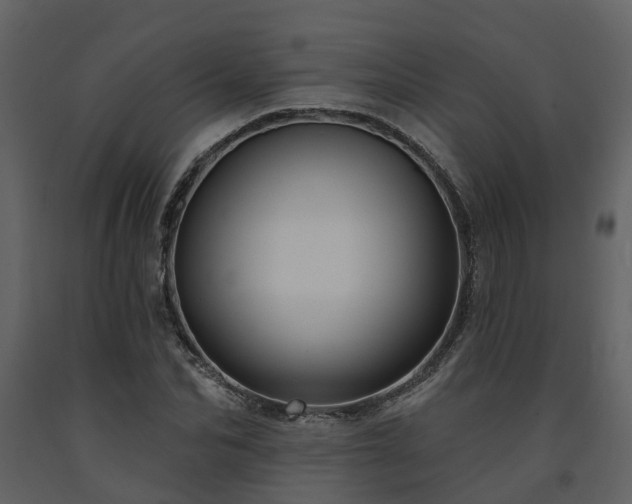 X0000091730974200708241409
