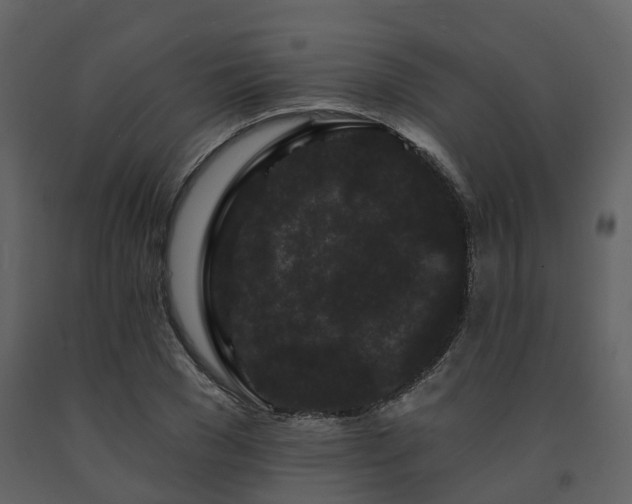 X0000091730977200708241409
