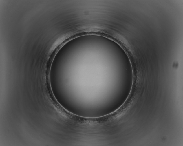 X0000091730978200708241409