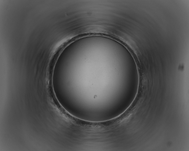 X0000091730979200708241409