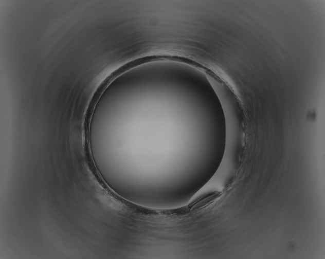 X0000091730980200708241409