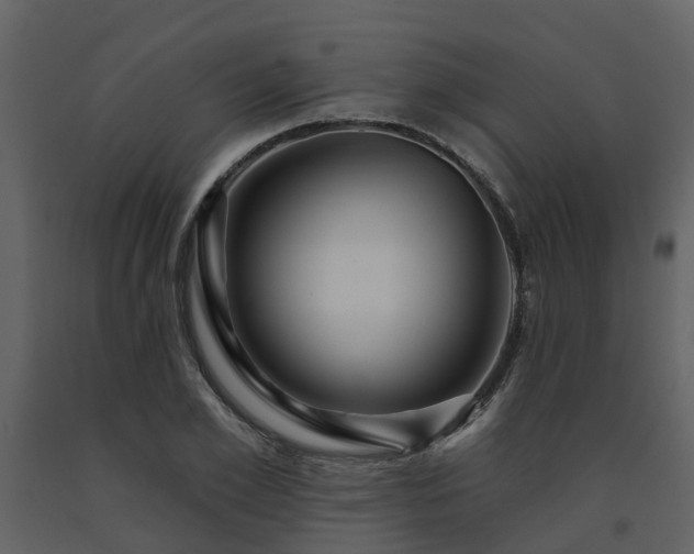 X0000091730981200708241409
