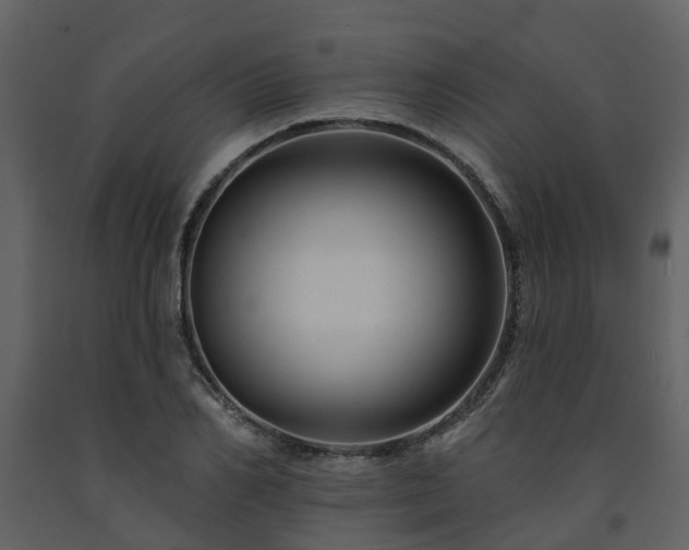 X0000091730982200708241409