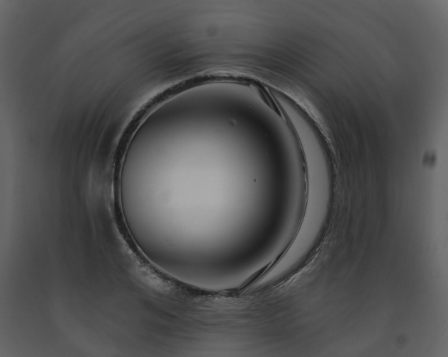 X0000091730984200708241409