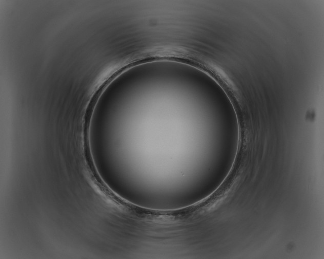 X0000091730986200708241408