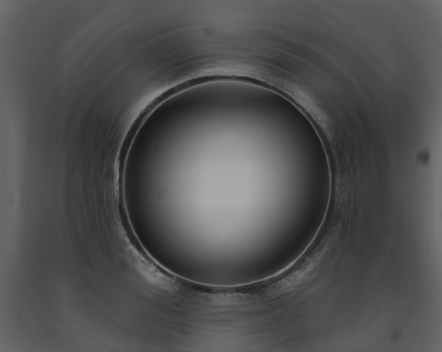 X0000091730988200708241408